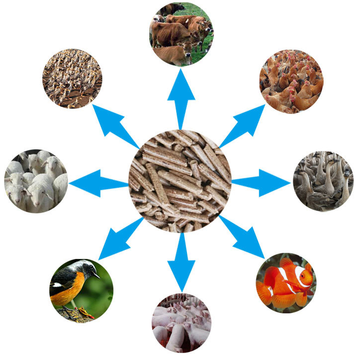 秸稈飼料顆粒機(jī)顆粒用途
